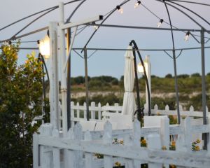 02d0b45f 2262 4170 8477 Af214a66d587